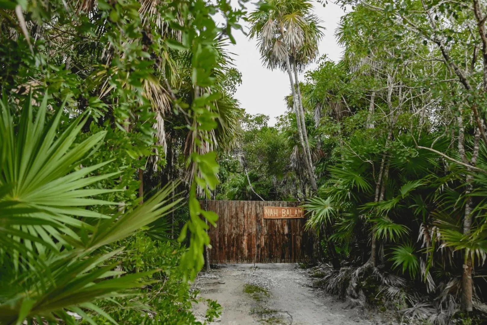 Amazing Eco Palapa At Private Beach In Sian Kaan. Tulum Holiday home