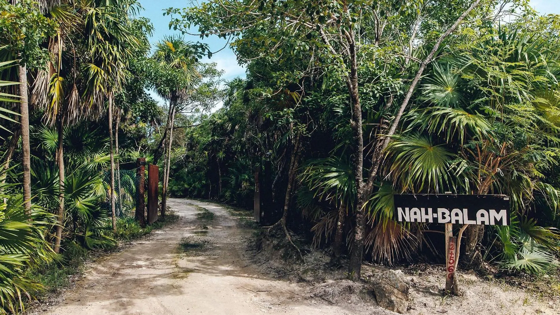 Amazing Eco Palapa At Private Beach In Sian Kaan. Tulum