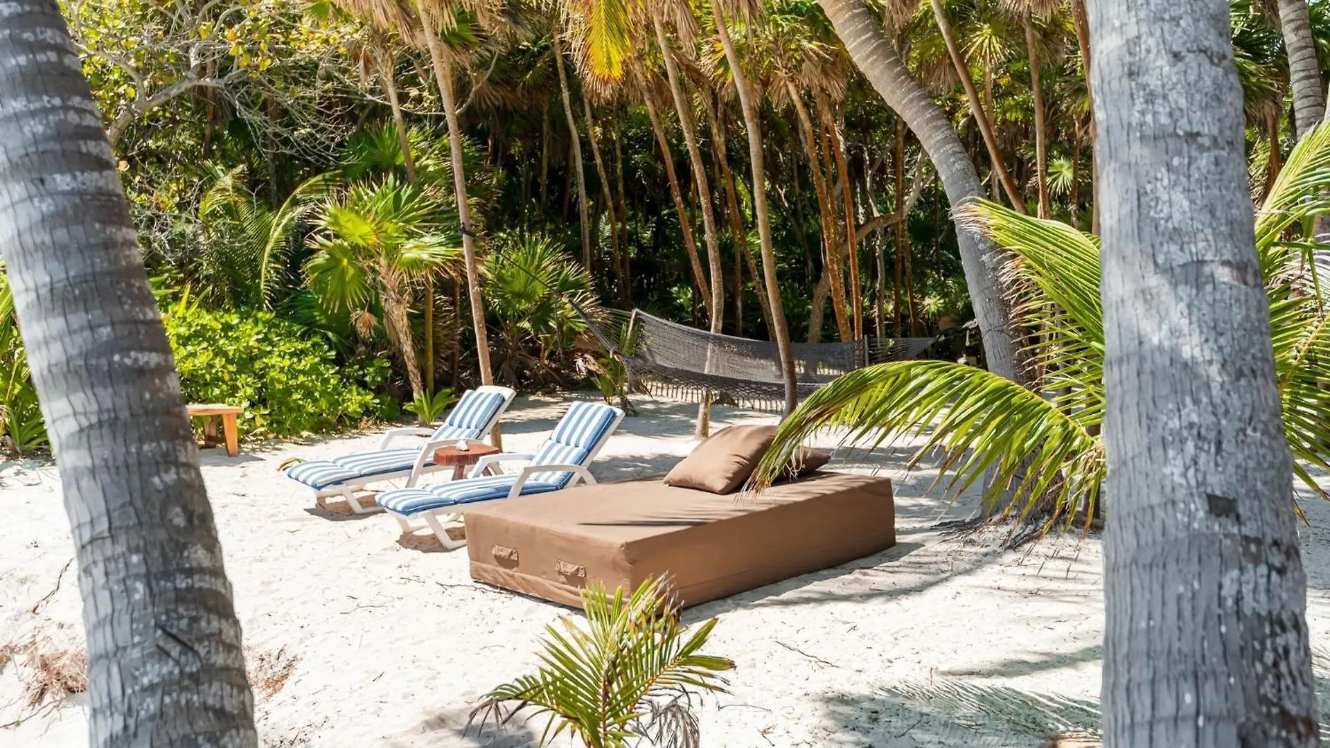 Amazing Eco Palapa At Private Beach In Sian Kaan. Tulum Mexico